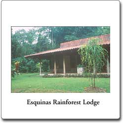 Esquinas Rainforest Lodge